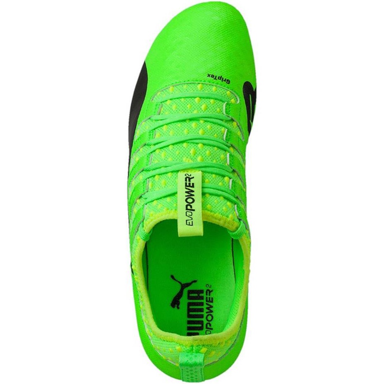 Chuteiras Puma Evo Power Vigor 2 Fg 103954 01 verde