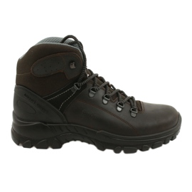Sapatos Grisport Marrone Kaiteki M 13326D1G marrom