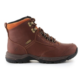 Calçados Ariat Berwick Gtx W 10016298 marrom