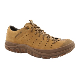 Camelo Caterpillar Fused Lace M P724810 marrom multicolorido