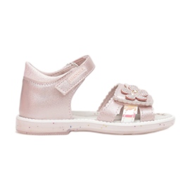 Vices Vícios 3SD730-45-pink rosa