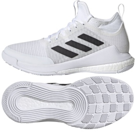 Tênis de voleibol Adidas CrazyFlight Mid W FX1792 multicolorido castanho