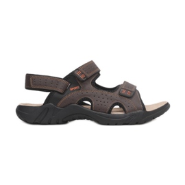 Vices Vícios A9003-137-d.brown marrom