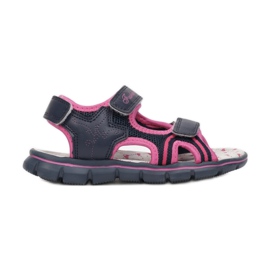 Vices Vícios T34-26-292-blue / fushia