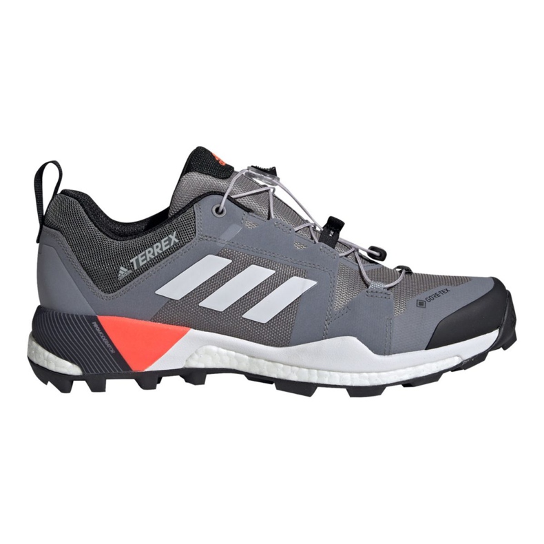 Sapatos Adidas Terrex Skychaser Gtx M EG2868 multicolorido