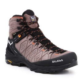 Sapatos Salewa Ms Alp Trainer 2 Mid Gtx 61382-7512 bege