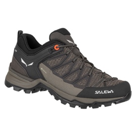 Sapatos de trekking Salewa Mtn Trainer Lite Gtx W 61362-7517 castanho