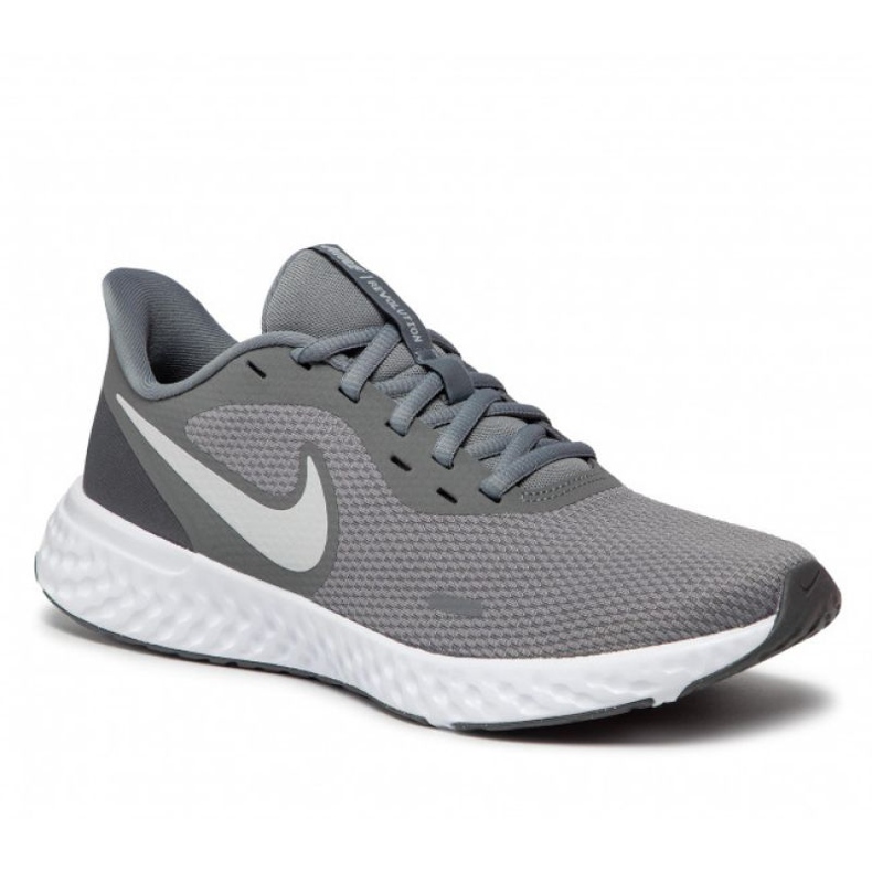 Sapato Nike Revolution 5 M BQ3204-005 cinza