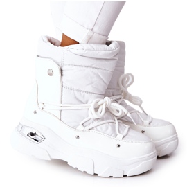 POTOCKI White Holys isolados com pele branco
