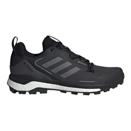 Sapatos Adidas Terrex Skychaser 2 Gtx M FX4547 preto
