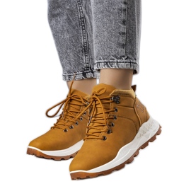 Botas de mulher isoladas castanhas da Adleri castanho