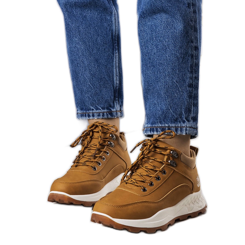 Botas de mulher isoladas castanhas Durani castanho