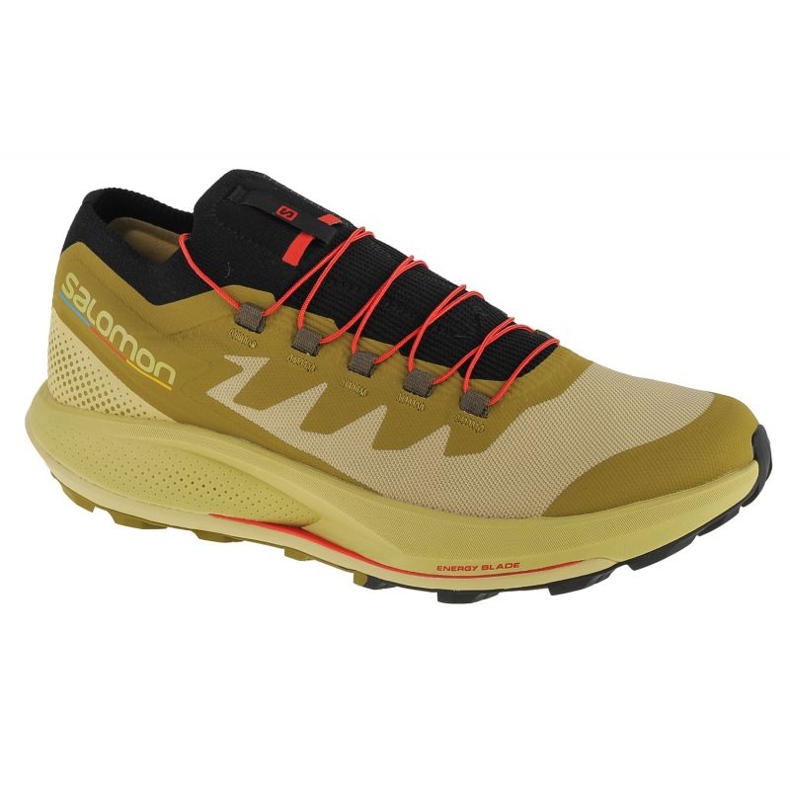 Sapatos Salomon Pulsar Trail-Pro M 415936 verde