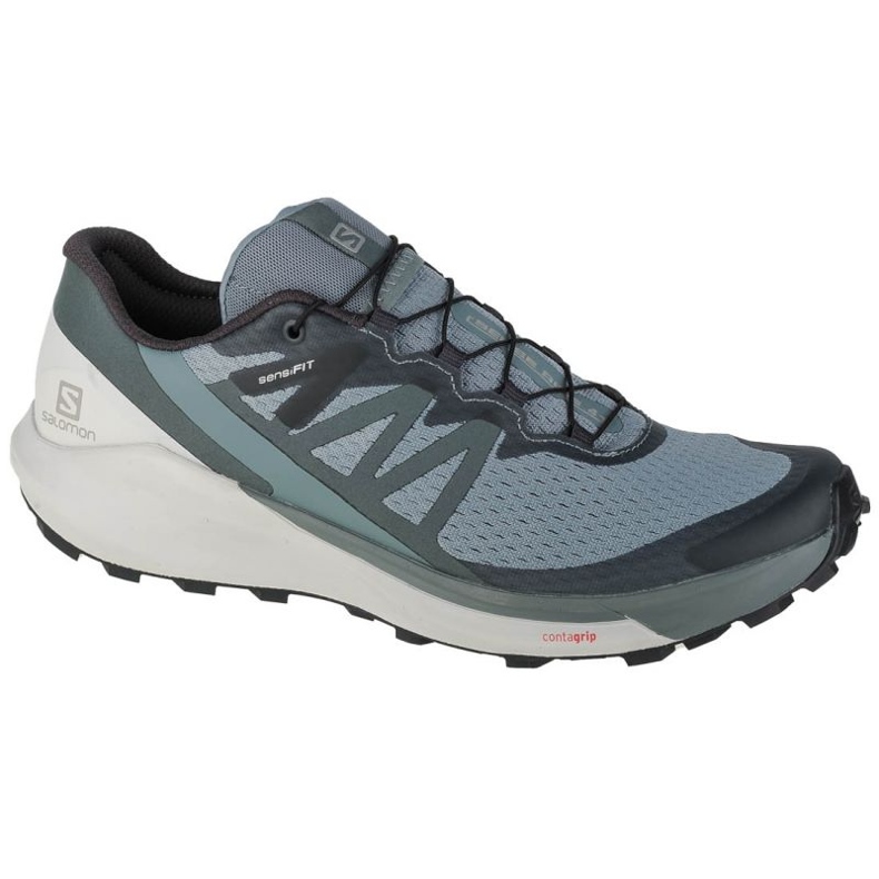 Sapatos Salomon Sense Ride 4 M 412997 azul