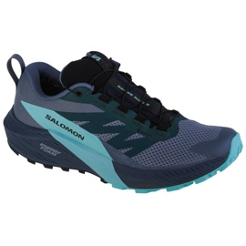 Sapatos Salomon Sense Ride 5 GTX M 471474 azul