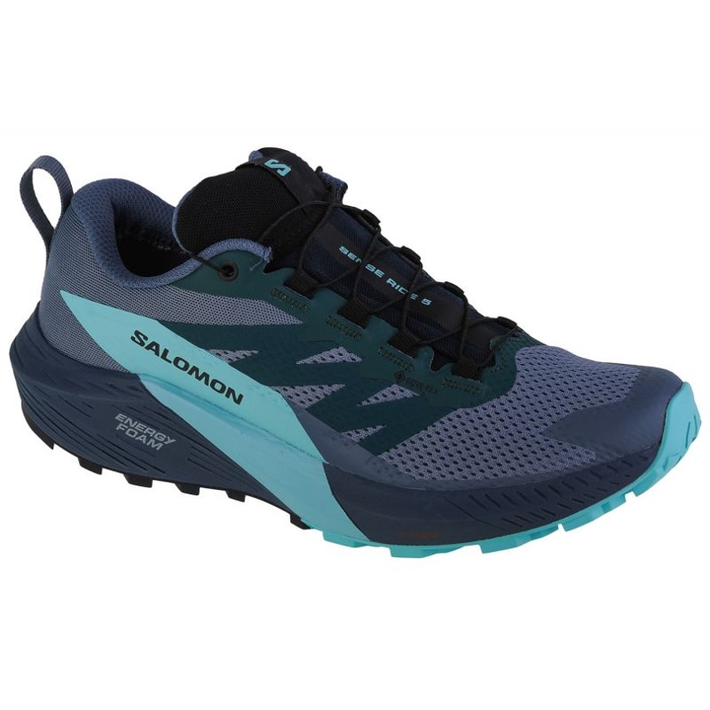 Sapatos Salomon Sense Ride 5 GTX M 471474 azul