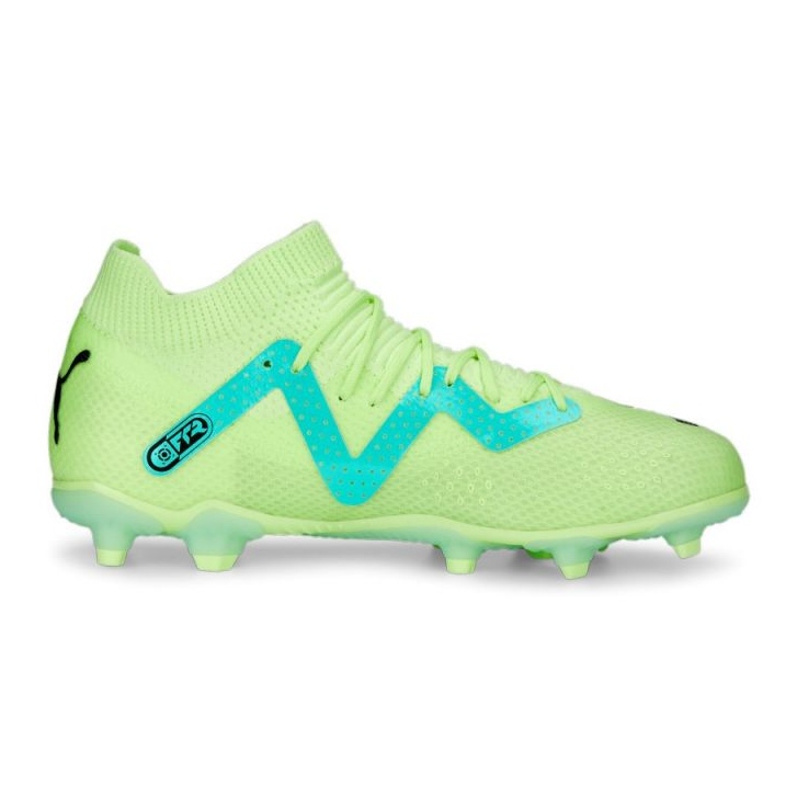 Chuteira Puma Future Pro FG/AG Jr 107194 03 verde verde