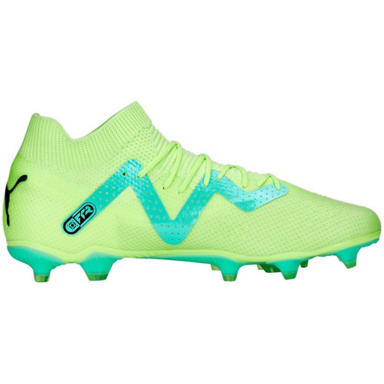 Chuteira Puma Future Pro FG/AG M 107171 03 verde verde