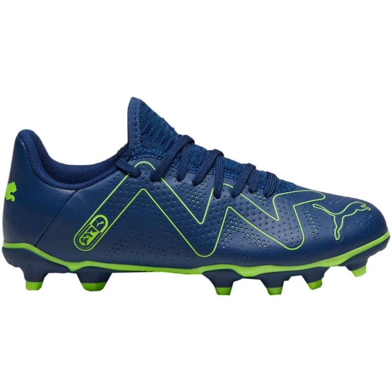 Chuteiras Puma Future Play FG/AG 107388 03 azul
