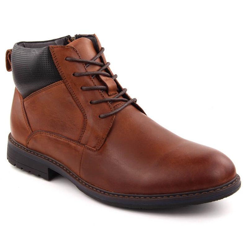 Botins masculinos de couro com isolamento, marrom, T.Sokolski Z24-81 castanho
