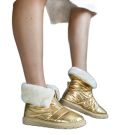 Botas de neve com isolamento dourado Edidda e gola