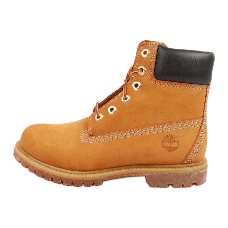 Sapatos Timberland Premium 6 TB110061713 castanho amarelo
