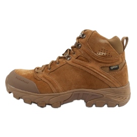 Sapatos Garmont T4 Trekking [002381] Gore-Tex bege