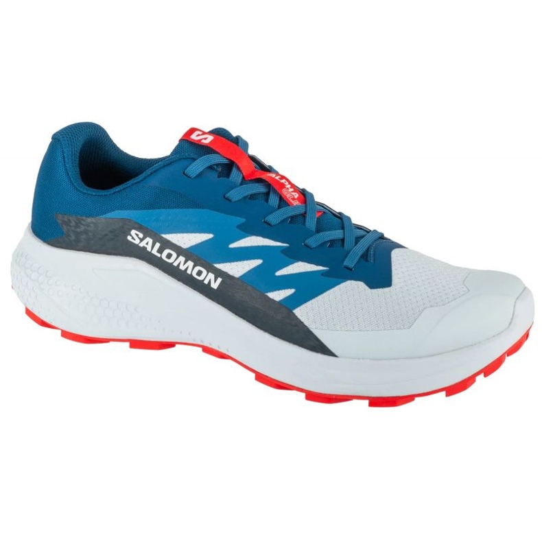 Salomon Alphaglide Ballad L47724300 tênis de corrida cinza