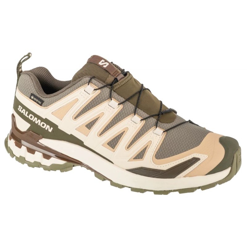 Salomon Xa Pro 3d V9 GTX L47820200 Tênis de corrida verde