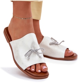 EVento Flipes de mulheres lisadas com uma encadernação de prata decorativa