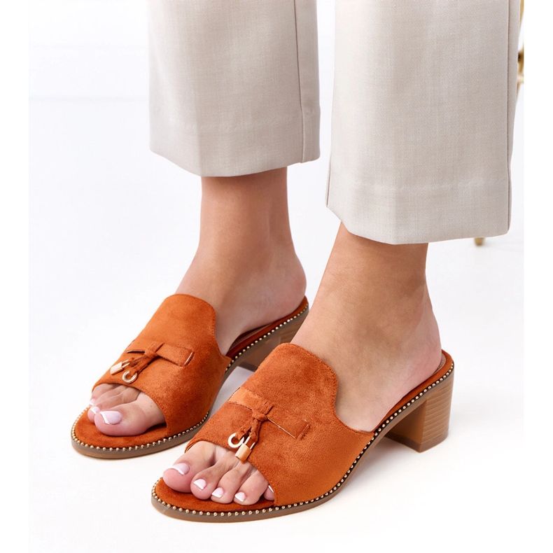 Flip -flops marrons no ornamento de bétula castanho