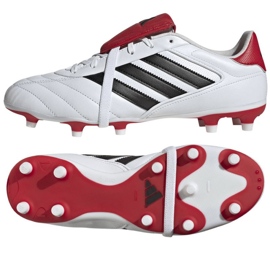 Adidas Copa Gloro II FG JR2871 Sapatos multicolorido