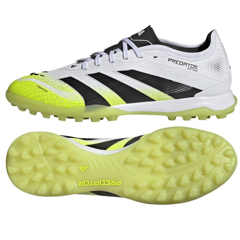 Adidas Predator Pro Tf M JI1181 Sapatos multicolorido