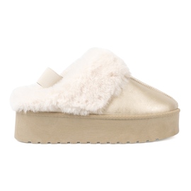 Shelvt Sapatos dourados e botas de neve com pêlo branco