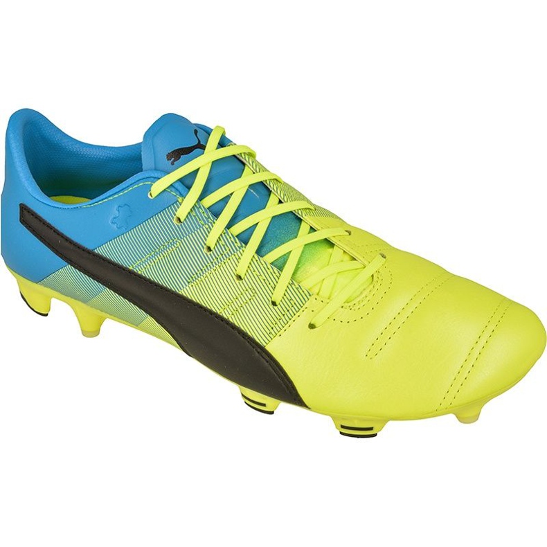 Chuteiras de futebol Puma evoPOWER 1.3 FG M Couro 10352701