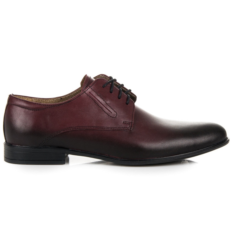 Sapatos castanhos elegantes de Lucca multicolorido