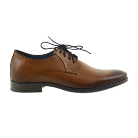 Sapatos masculinos marrons Nikopol 1644 marrom