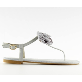 Sandálias flip-flops com cinzento T314P cinza