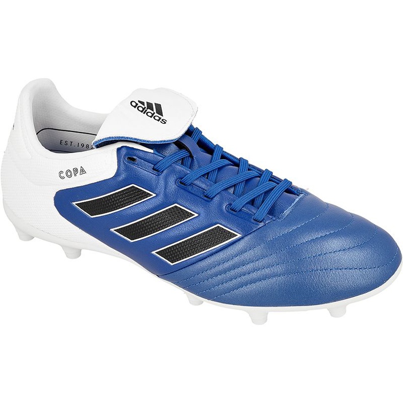 Chuteira Adidas Copa 17.3 Fg M BA9717 azul azul