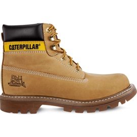Caterpillar Mel de colorado marrom