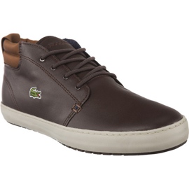 Lacoste Ampthill Terra 317 1 176 castanho Lacoste Ampthill Terra 317 1 176 castanho