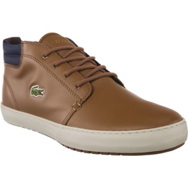 Lacoste Ampthill Terra 317 1.078 castanho Lacoste Ampthill Terra 317 1.078 castanho