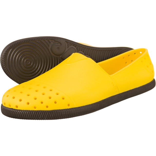 Native Castor amarelo nativo do pastel de Verona