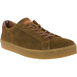 Tommy Hilfiger Logan 1B 102 marrom
