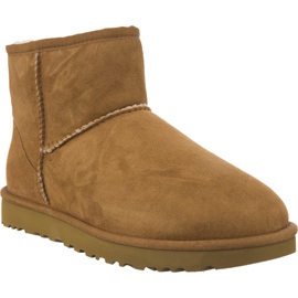 Ugg Classic Mini Ii Chestnut marrom amarelo