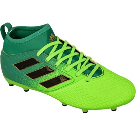 Chuteiras Adidas Ace 17.3 Fg Jr BB1027 verde verde