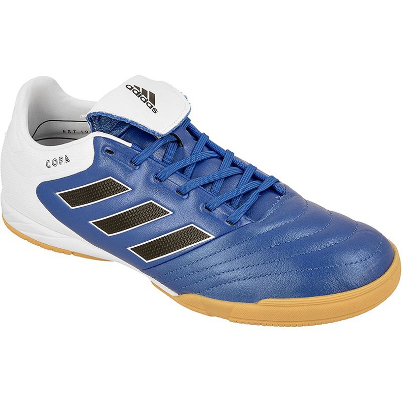 Sapatos de interior adidas Copa 17.3 In M BB0853