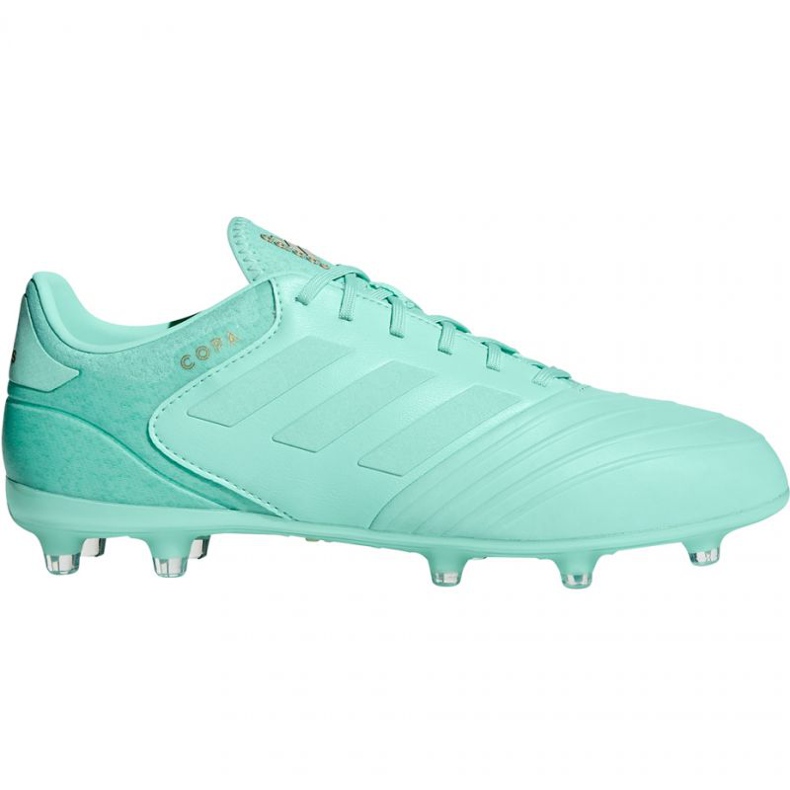 Chuteiras Adidas Copa 18.2 FG M DB2446 azul