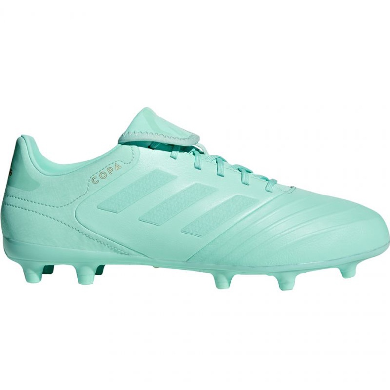 Chuteiras Adidas Copa 18.3 Fg M DB2462 azul azul Chuteiras Adidas Copa 18.3 Fg M DB2462 azul azul