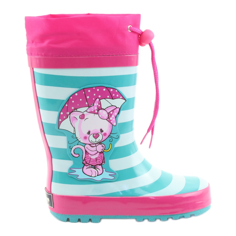 American Club Galochas americanas. Gatinho após a exposição rosa verde